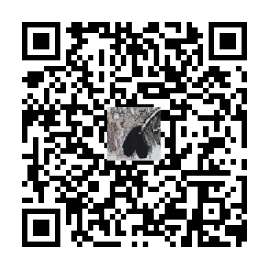 待添加